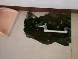宜昌市卫生间测漏水多少钱